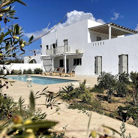 White Pearl Villa Naxos With Private Swimming Pool Naxos City المظهر الخارجي الصورة