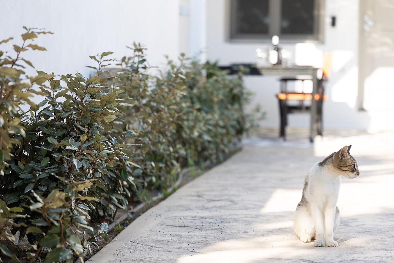 White Pearl Villa Naxos With Private Swimming Pool Naxos City المظهر الخارجي الصورة