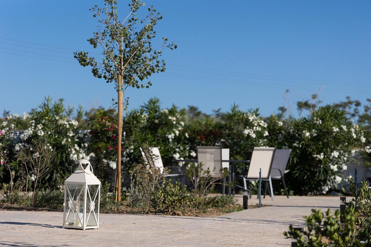White Pearl Villa Naxos With Private Swimming Pool Naxos City المظهر الخارجي الصورة