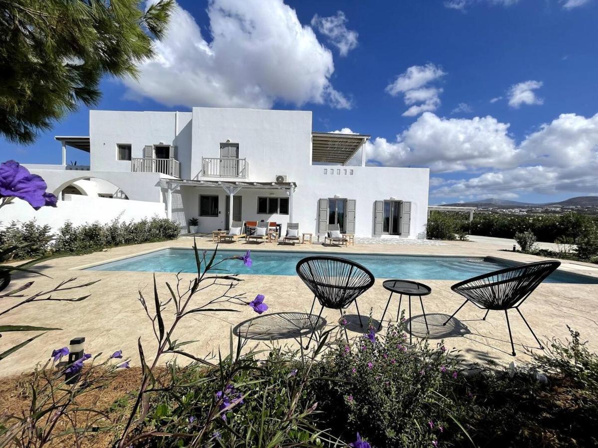 White Pearl Villa Naxos With Private Swimming Pool Naxos City المظهر الخارجي الصورة