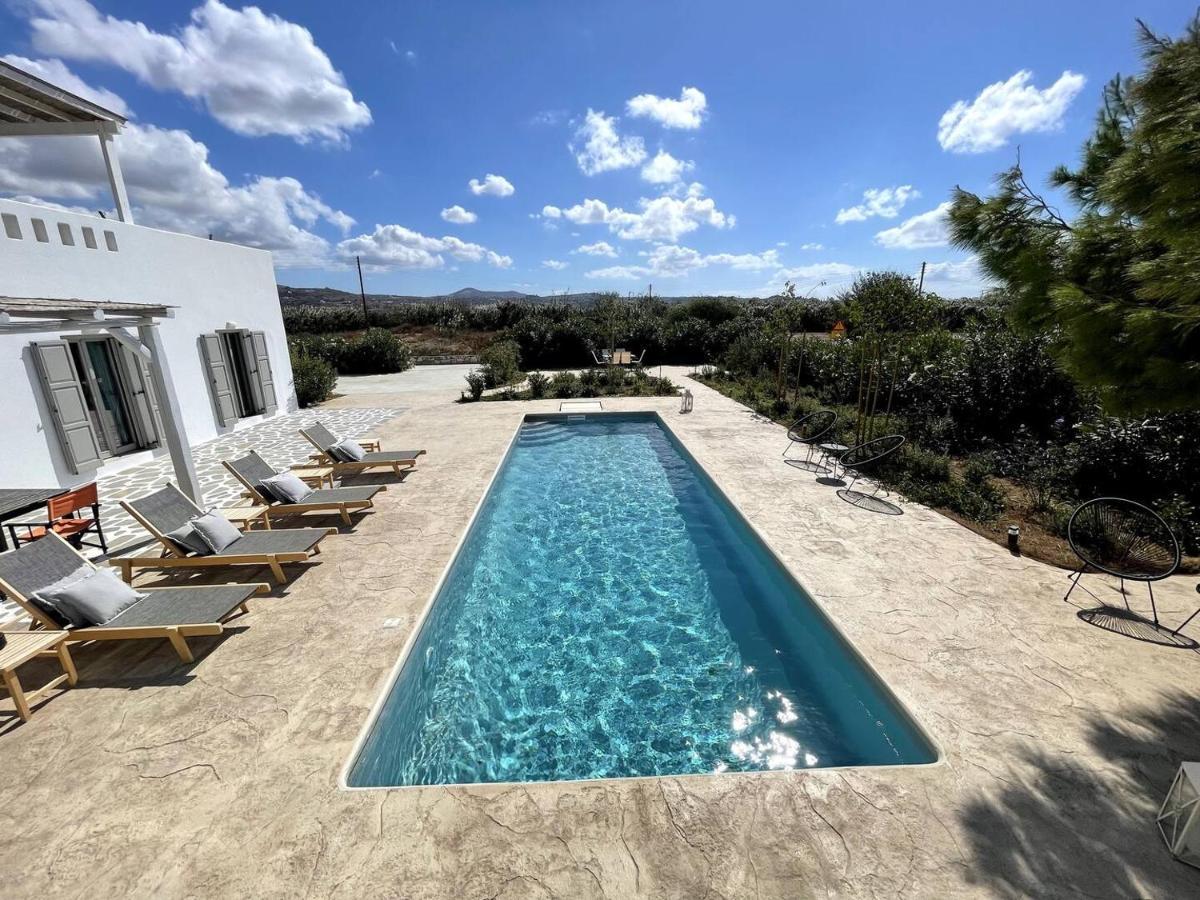 White Pearl Villa Naxos With Private Swimming Pool Naxos City المظهر الخارجي الصورة