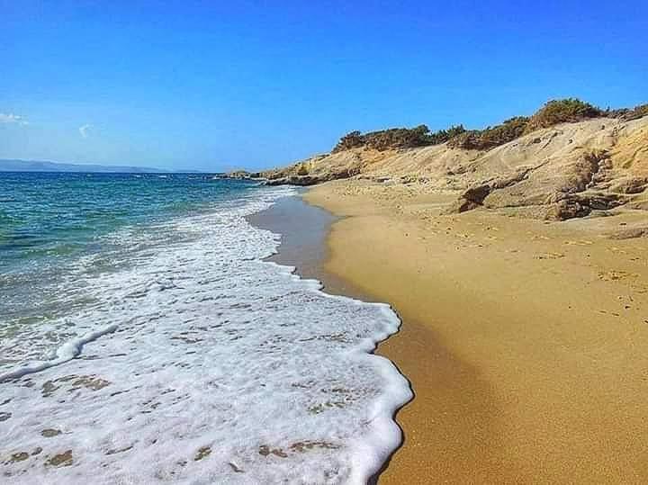 White Pearl Villa Naxos With Private Swimming Pool Naxos City المظهر الخارجي الصورة